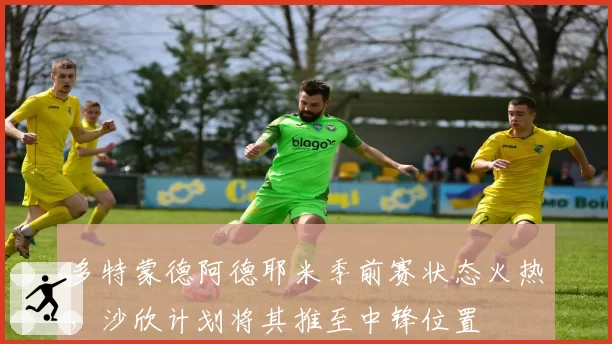 多特蒙德阿德耶米季前赛状态火热，沙欣计划将其推至中锋位置